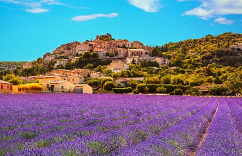 Provence 