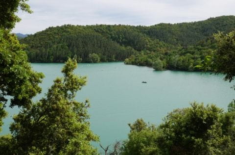 Comment notre politique RSE influence nos team-buildings ?