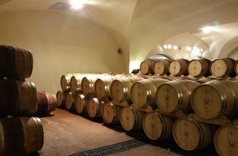 Enquête au vignoble