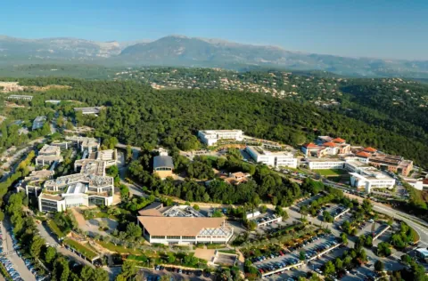 Team building Sophia Antipolis | Guide 2026