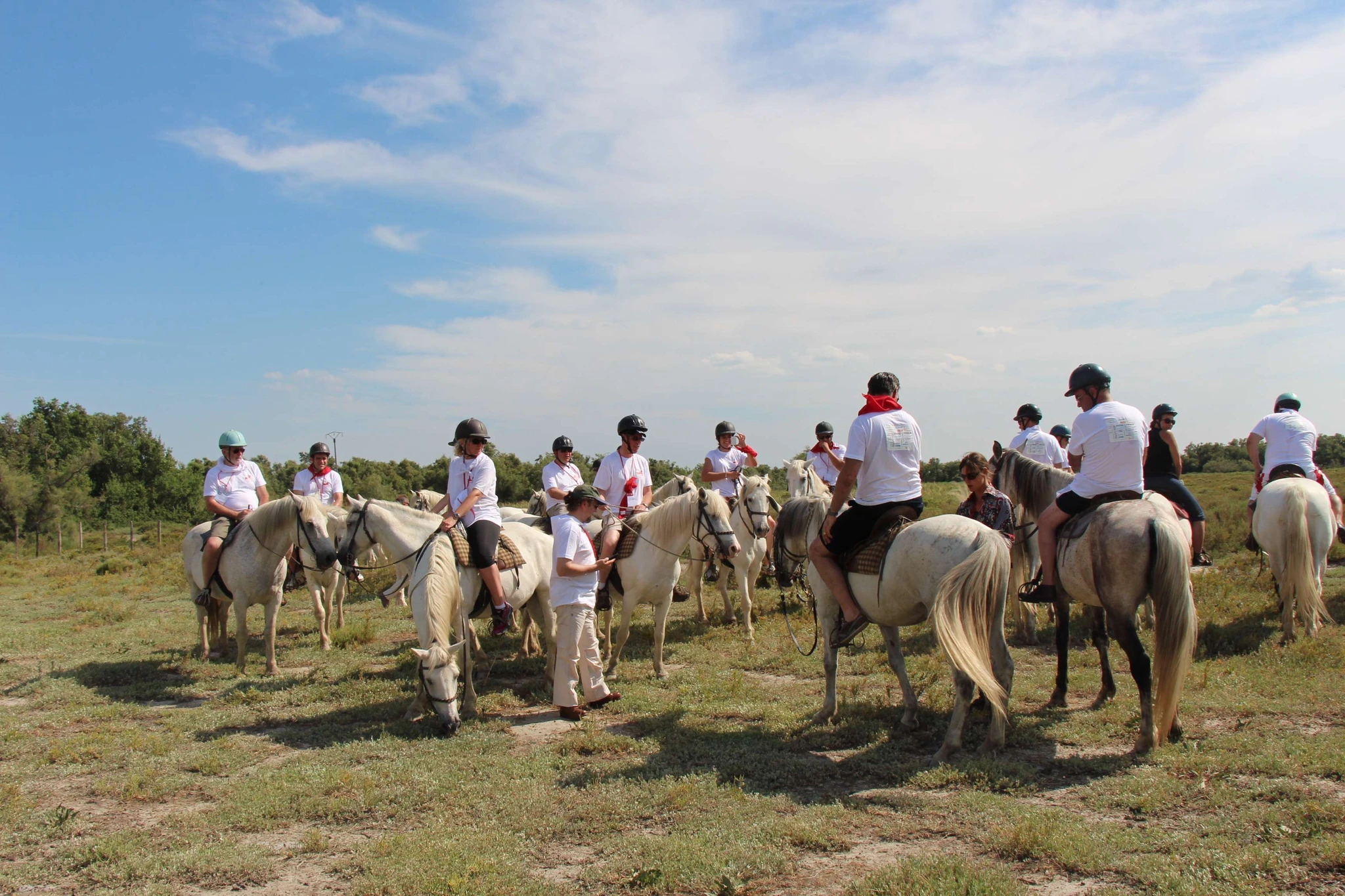 IMMERSION CAMARGUAISE (5).JPG